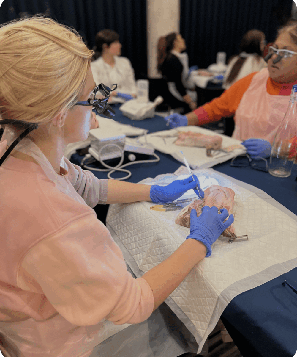 Practice Gallery Image - Edudent Academy